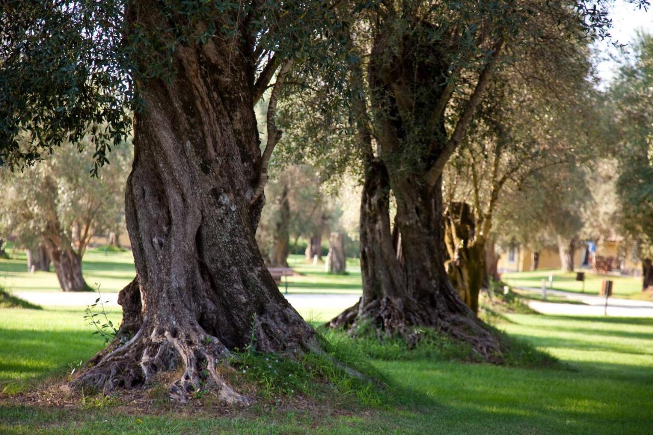 Uliveto Principessa Resort Cittanova  Eksteriør billede
