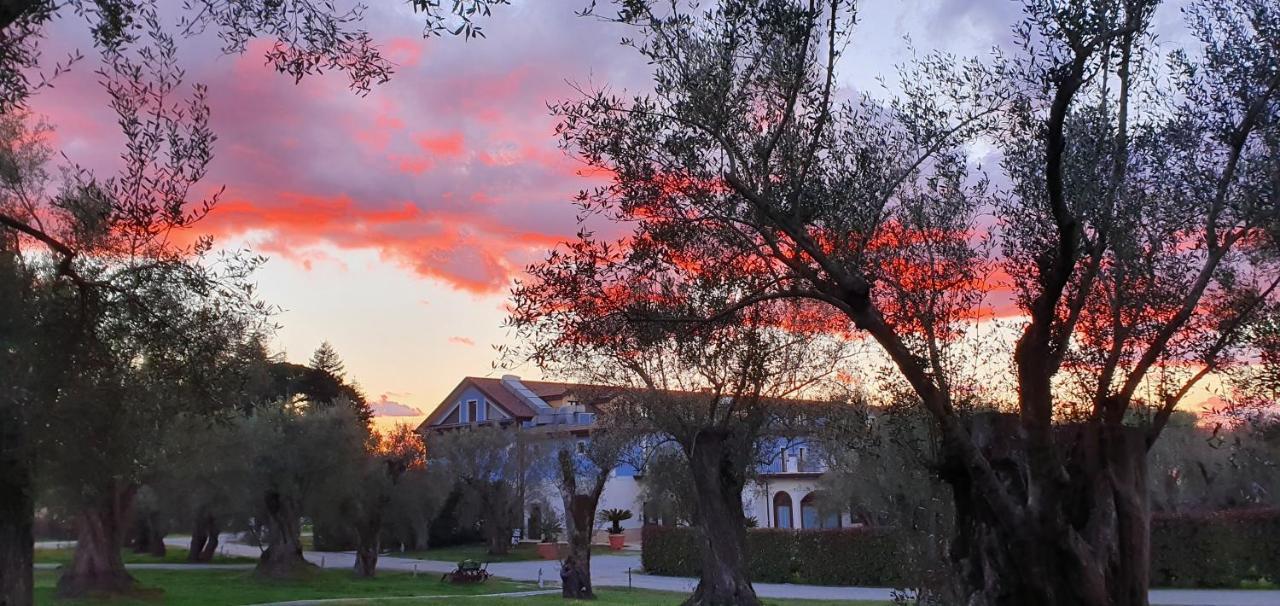 Uliveto Principessa Resort Cittanova  Eksteriør billede